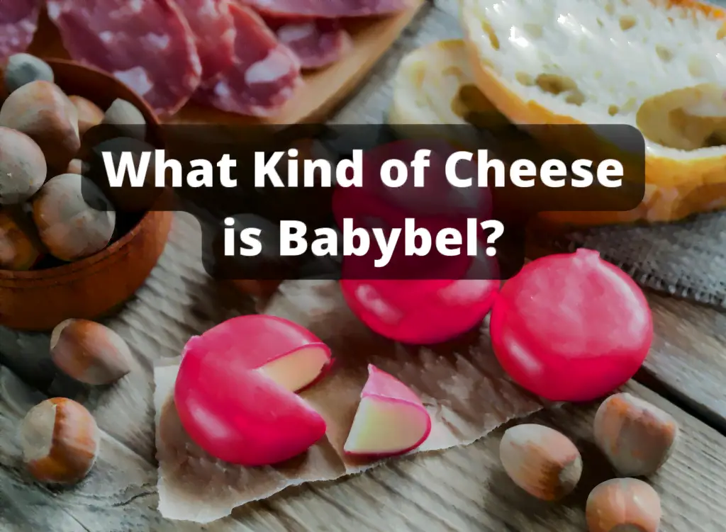 This guide is about what kind of cheese is babybel