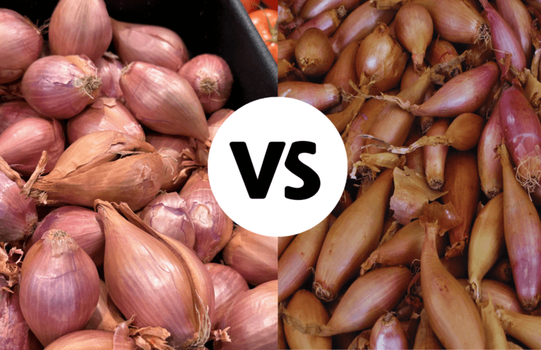 Shallot vs Banana Shallot—Are they Different & How Much?