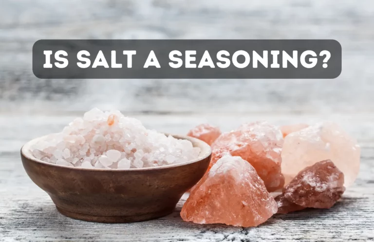 Is Salt a Seasoning