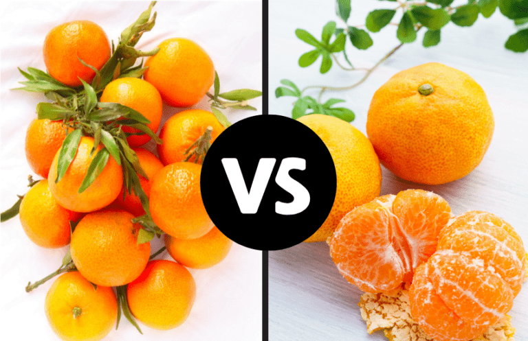 Clementines Vs Cuties, What's the Difference?