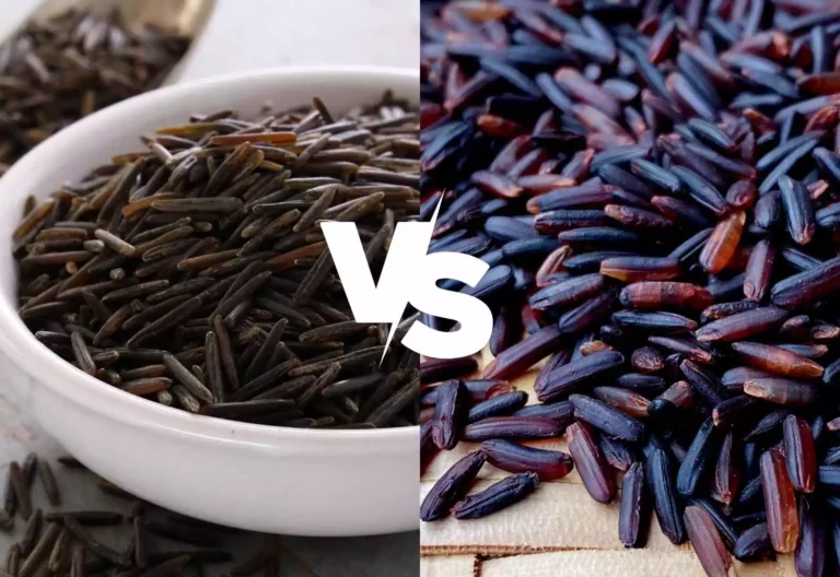 Black Rice Vs Wild Rice: Which is Better for You?