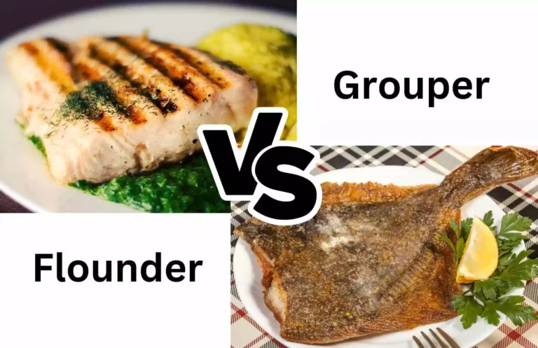 Grouper vs Flounder Taste and Substitution