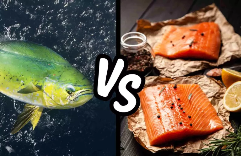 What's the Difference Between Mahi Mahi and Salmon Taste?