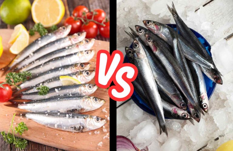 Sardines Versus Anchovies, Which Tastes Better?