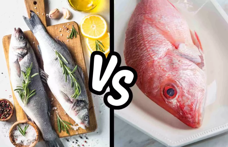What's the Difference Between Salmon and Redfish Taste?
