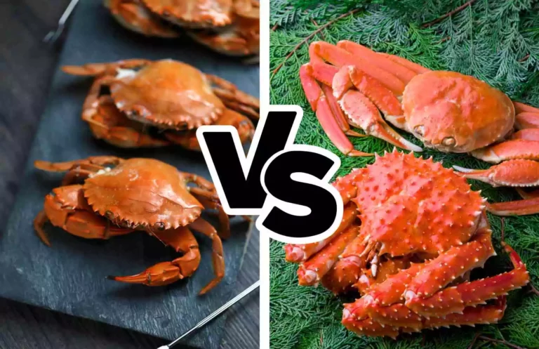 What's the Difference Between Snow Crab and Dungeness Crab Taste?