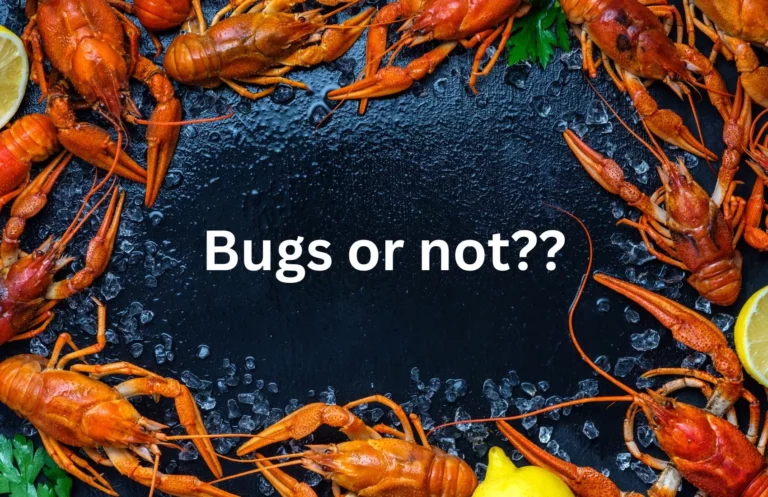 Are Crawfish Bugs?
