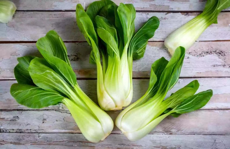 What Parts of Bok Choy Are Good For Eating and Cooking?